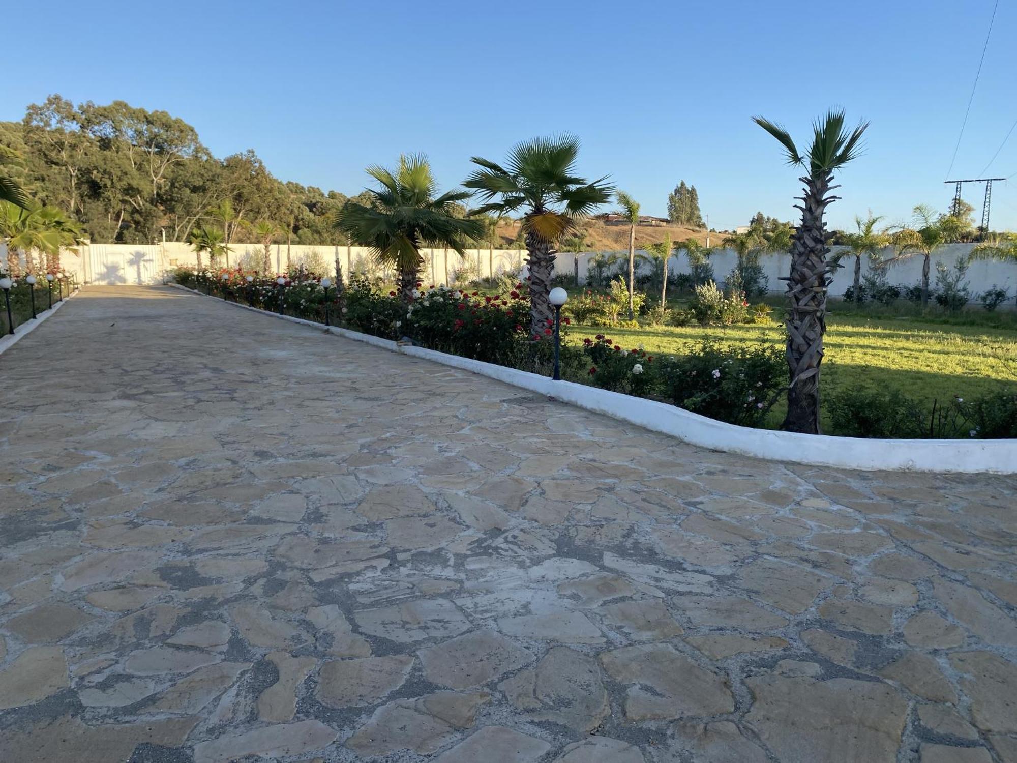 Ecohame - Oeko-Hain - Ecohaven - Ecobrio Guitar Palace Bni Quolla Dış mekan fotoğraf